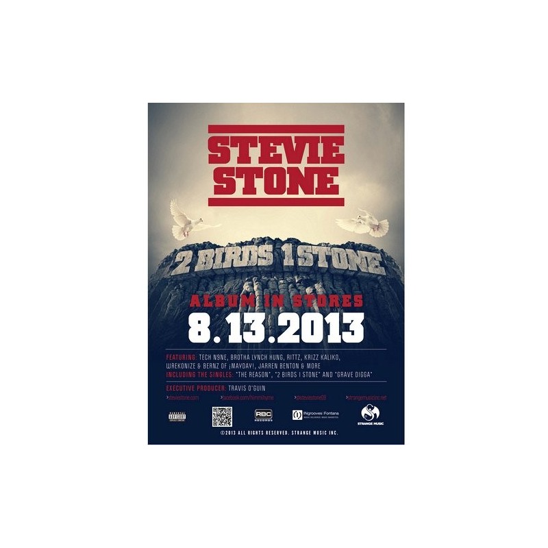 Stevie Stone - 2 Birds 1 Stone Poster